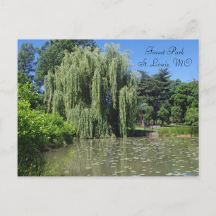 Cartão Postal Forest Park chorando selvagem em Pond
