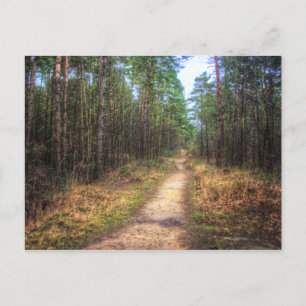 Cartão postal Forest Path HDR Art