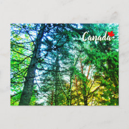 Cartão Postal Forest Woodland Medley de Árvores Canadá