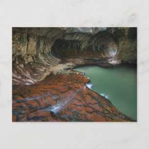 Cartão Postal Fork Esquerdo   Zion National Park, Utah