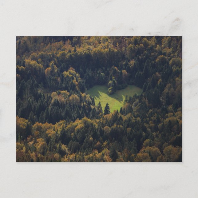 Cartão Postal Forma cardíaca numa floresta na Eslovênia (Frente)