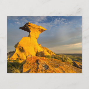 Cartão Postal Formação Esculturada das Badlands em Grama Curta