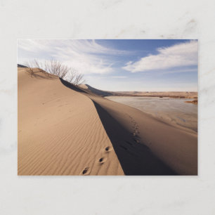 Cartão Postal Formações de dunas de areia. Parque Estadual das D