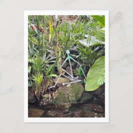 Cartão Postal Formas das Orquídeas - Esticar figuras 1 | Conserv