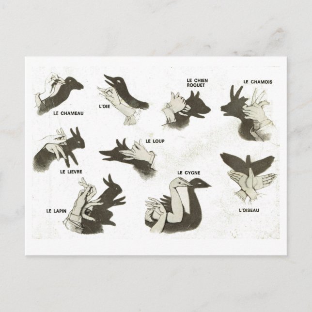 Cartão Postal Formas de pinagem, marionetas-sombra, ombres chino (Frente)