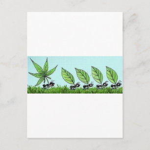 Cartão Postal formiga colocada