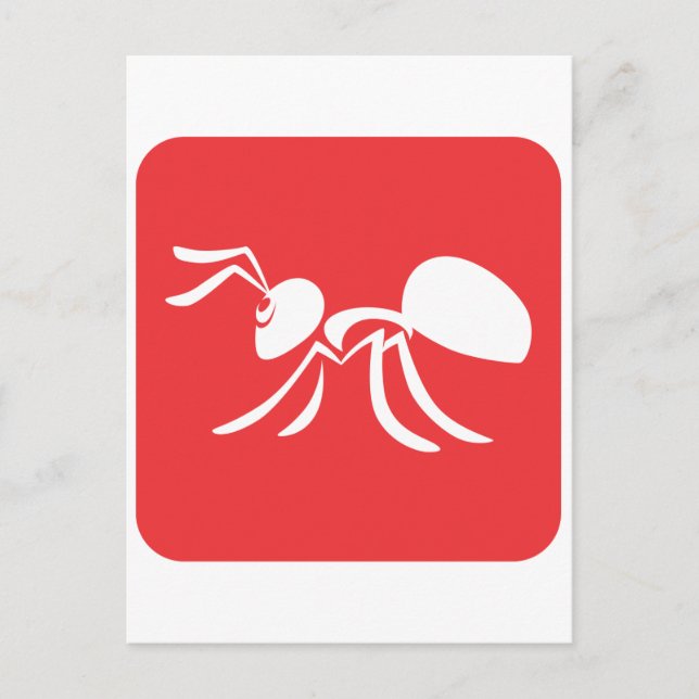 Cartão Postal Formiga Simples (Frente)
