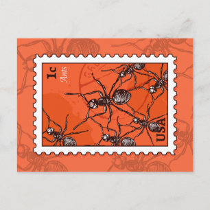 Cartão Postal Formigas