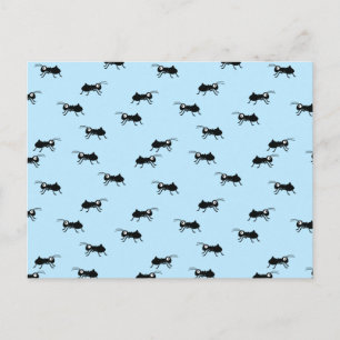 Cartão Postal Formigas