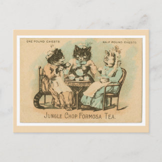 Cartão Postal Formosa Tea Cats