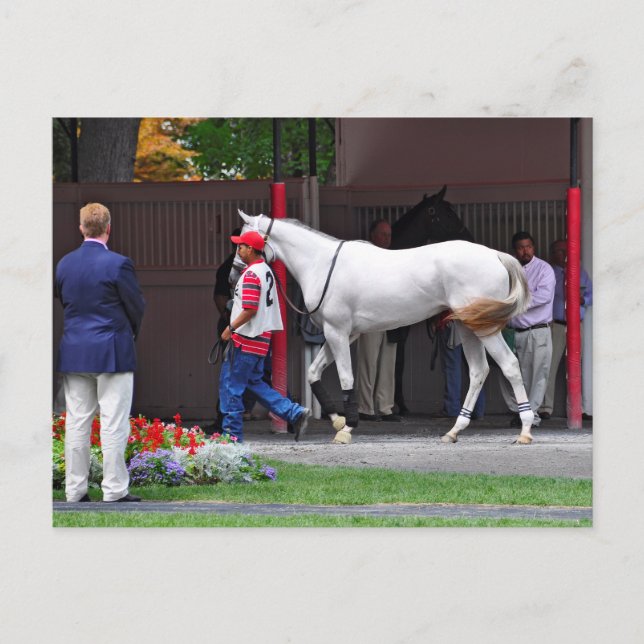 Cartão Postal Formulário Ajustado Preenchido por Tapit (Frente)