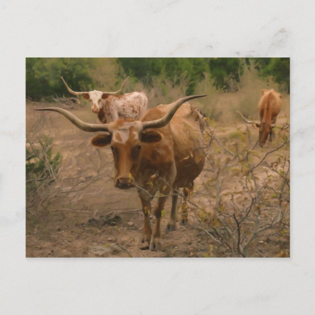 Cartão Postal Forragem para Comida (Frente)