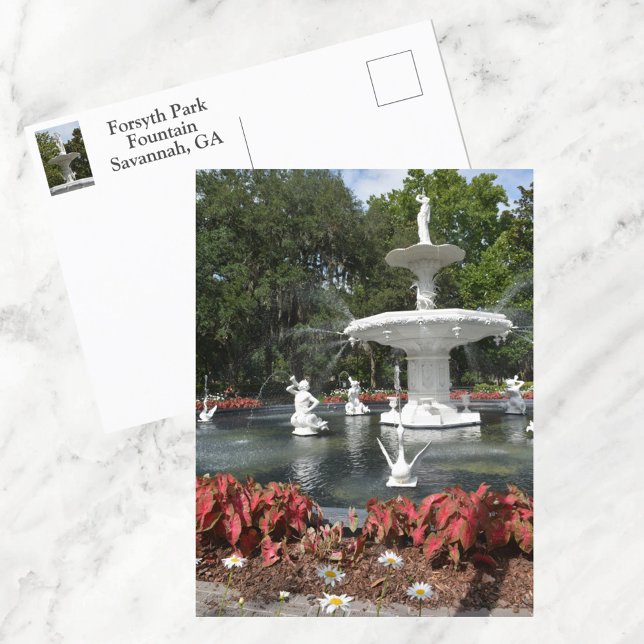 Cartão Postal Forsyth Park Fountain Savannah GA Fotográfica (Criador carregado)
