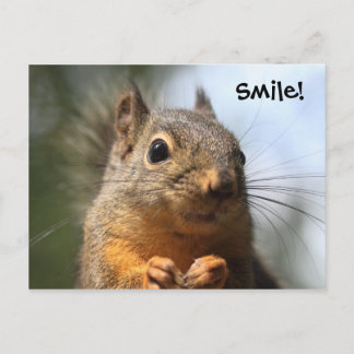 Cartão Postal Foto aproximada de sorriso de esquilo bonito