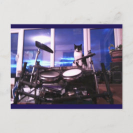 Cartão Postal Foto Cartão-postal 12 Drummer Blues Beleza Animal