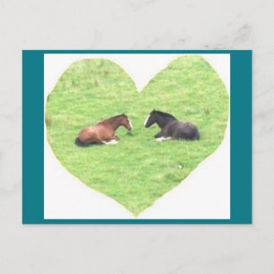 Cartão Postal Foto Cartão-postal 5 Amor com Cavalo - Beleza Natu