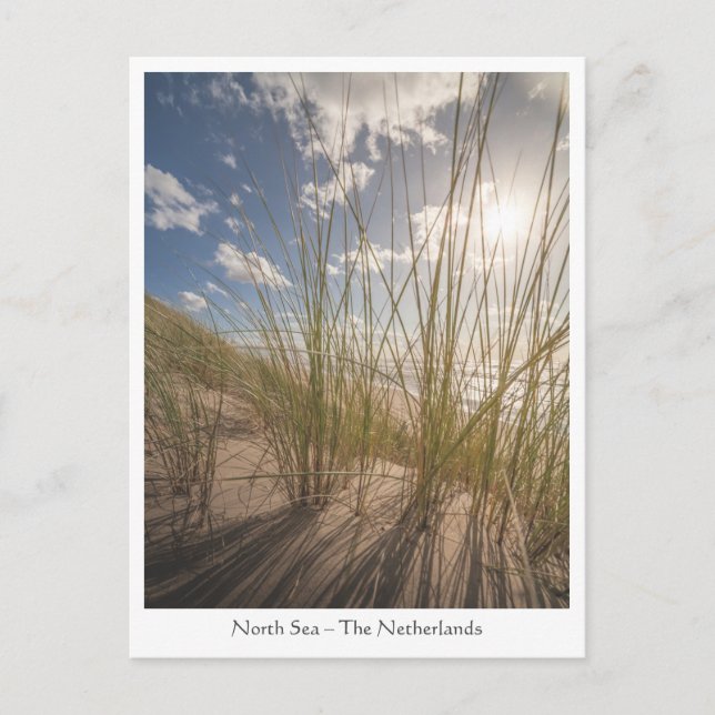 Cartão Postal Foto da Beach e Sun Nature (Frente)