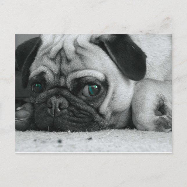 Cartão Postal foto da breena (Frente)