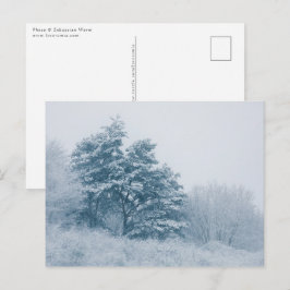 Cartão Postal Foto da Forest Winter Nature