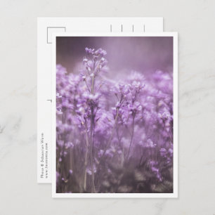 Cartão Postal Foto da Natureza da Flor Cuckoo