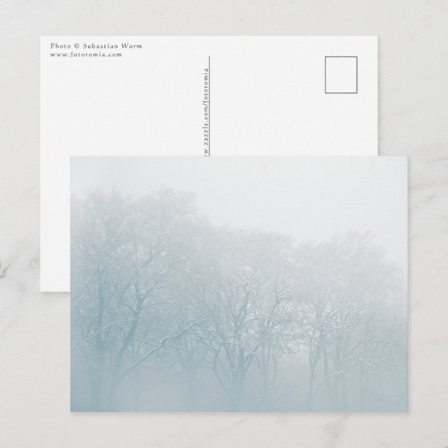 Cartão Postal Foto da natureza do inverno (Frente/Verso)