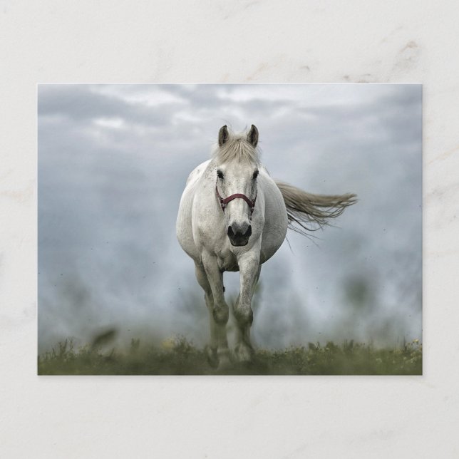Cartão Postal Foto da Nuvem Bonito de Cavalo Branco (Frente)