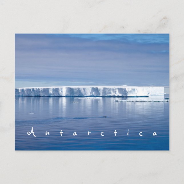 Cartão Postal Foto da paisagem do iceberg Antártica com texto br (Frente)