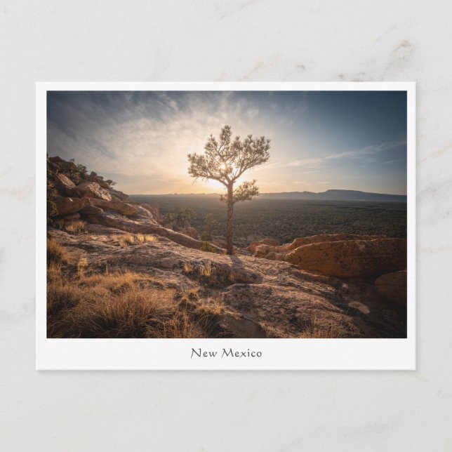 Cartão Postal Foto da paisagem do Novo México (Frente)