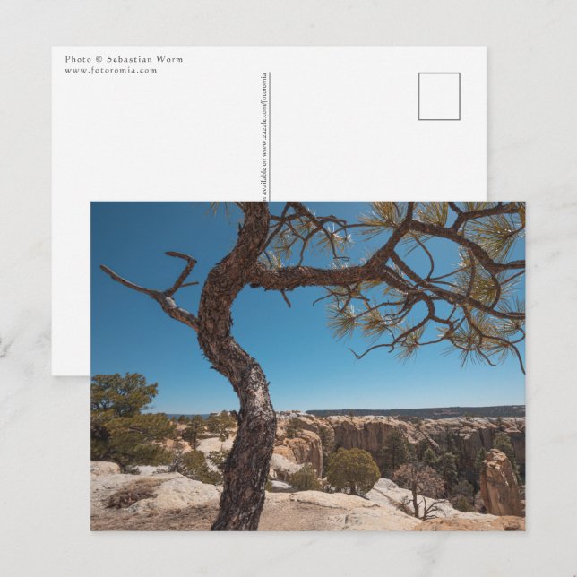 Cartão Postal Foto da Paisagem do Novo México (Frente/Verso)