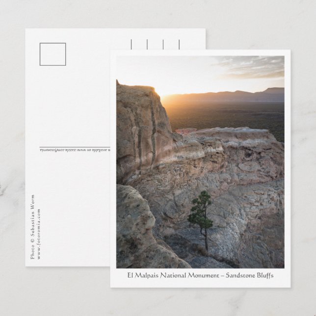 Cartão Postal Foto da Paisagem do Novo México (Frente/Verso)