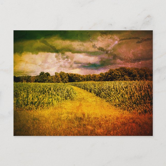 Cartão Postal Foto da Paisagem do País de Illinois (Frente)