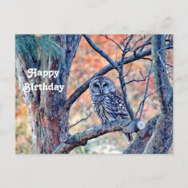 Cartão Postal Foto de aniversário da árvore do Owl Barrado da vi