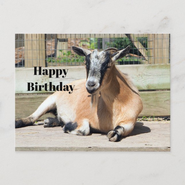 Cartão Postal Foto de aniversário de cabra marrom fofa dormindo (Frente)
