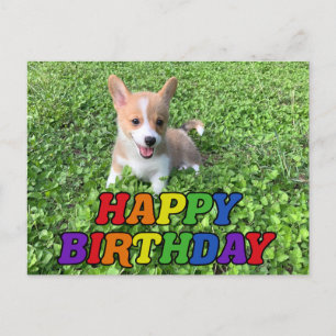 Cartão Postal Foto de Aniversário de Cachorrinho Corgi Fofo