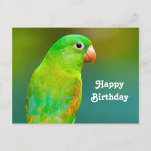 Cartão Postal Foto de Aniversário de Papagaio Verde Bonito