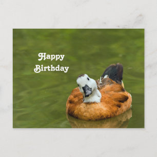 Cartão Postal Foto de aniversário de pato colorido fofo