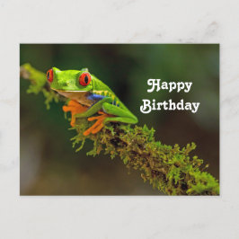 Cartão Postal Foto de aniversário de sapo de árvore de olhos ver