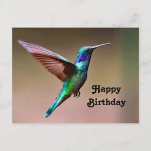 Cartão Postal Foto de aniversário do beija-flor verde da vida se