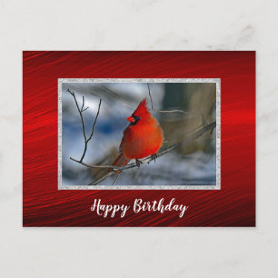 Cartão Postal Foto de Aniversário do Cardinal Vermelho de Invern
