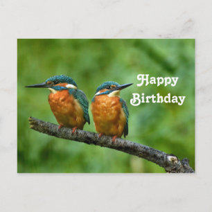 Cartão Postal Foto de Aniversário do Rei Selvagem