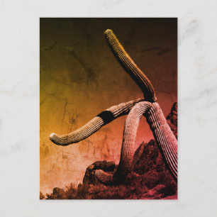 Cartão Postal Foto de Arte Saguaro Cactus em Estilo Russo