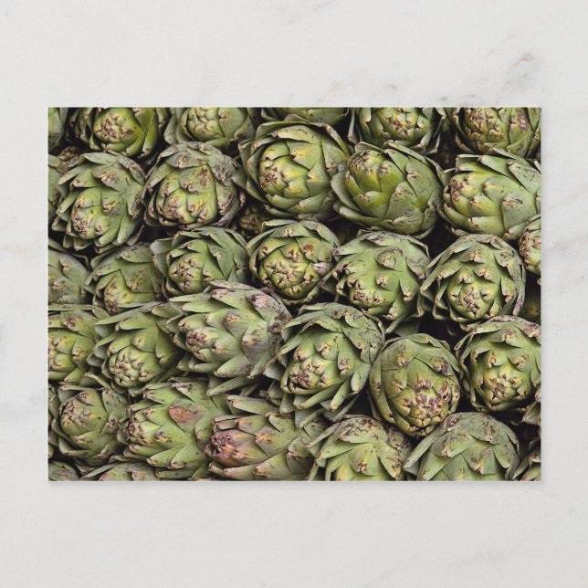 Cartão Postal Foto de Artichokes (Frente)