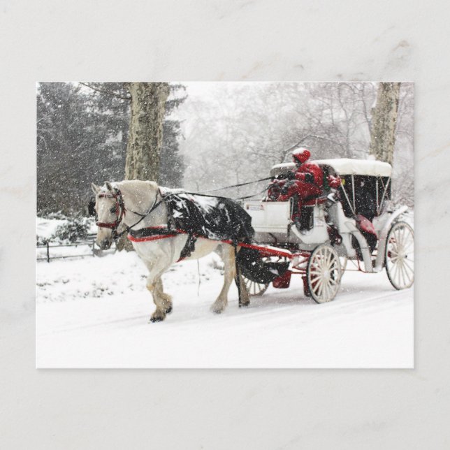 Cartão Postal Foto de Cavalo e Buggy no Central Park Winter (Frente)