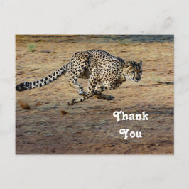 Cartão Postal Foto de Cheetah Selvagem Correndo Obrigado