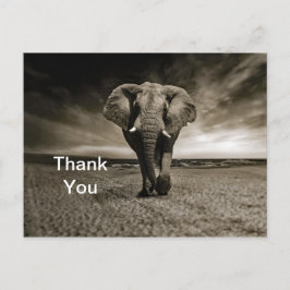 Cartão Postal Foto de Elefante Touro Selvagem Obrigado