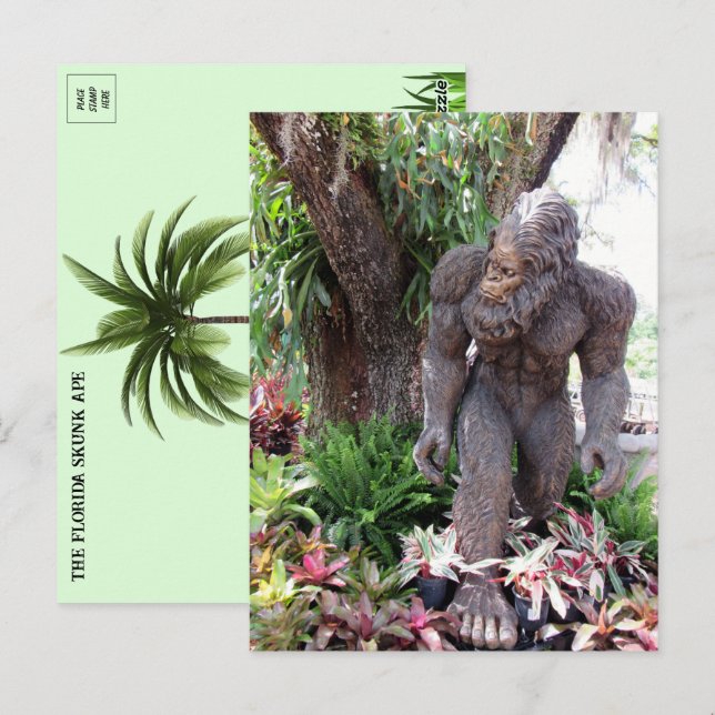Cartão Postal Foto de Florida Skunk Ape (Frente/Verso)