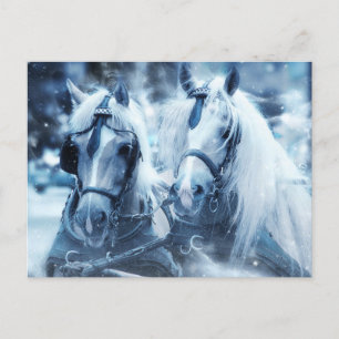Cartão Postal Foto de inverno de uma bela equipe de cavalos