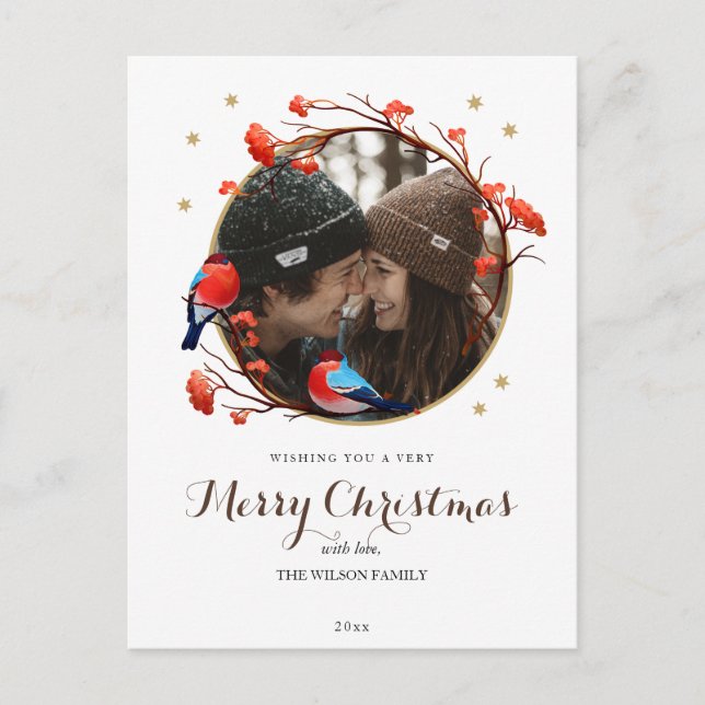 Cartão Postal Foto de Natal de Robin Birds Berries (Frente)