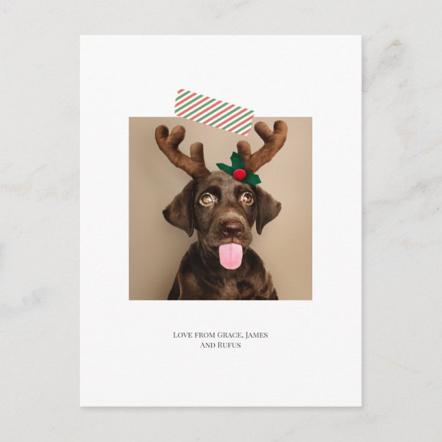 Cartão Postal Foto de Natal em banda divertida (cartão postal de (Frente)