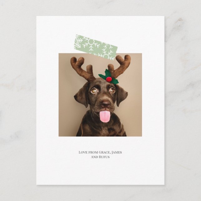 Cartão Postal Foto de Natal em Floco de Neve Divertido (cartão p (Frente)